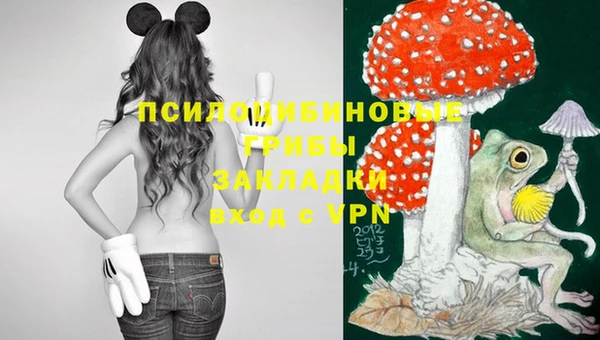 apvp Белокуриха