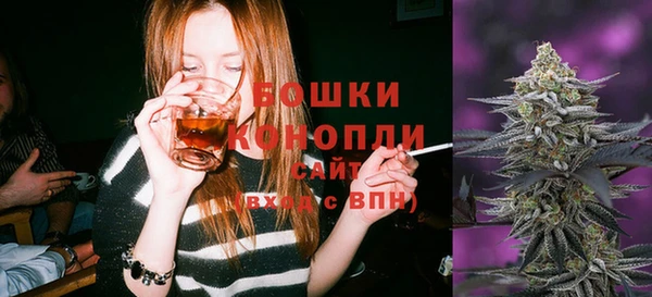 apvp Белокуриха
