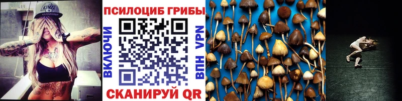 как найти закладки даркнет какой сайт гидра как войти Галлюциногенные грибы Psilocybe Пыть-Ях