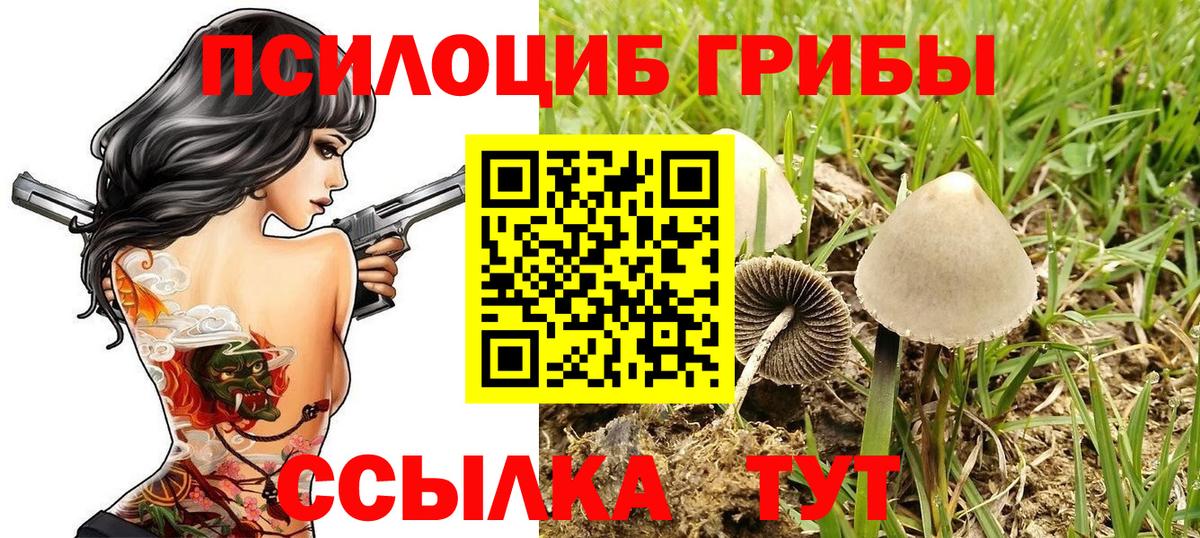 Галлюциногенные грибы мицелий  закладки  Пыть-Ях  Вход с VPN 