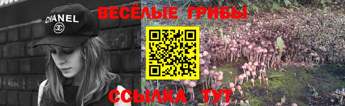 Галлюциногенные грибы Psilocybe Пыть-Ях
